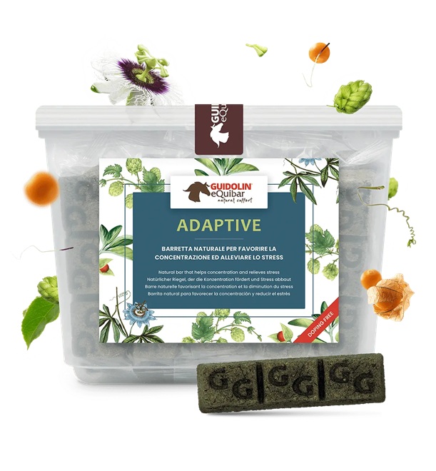 BISCOTTI ADAPTIVE 600 GR Guidolin  